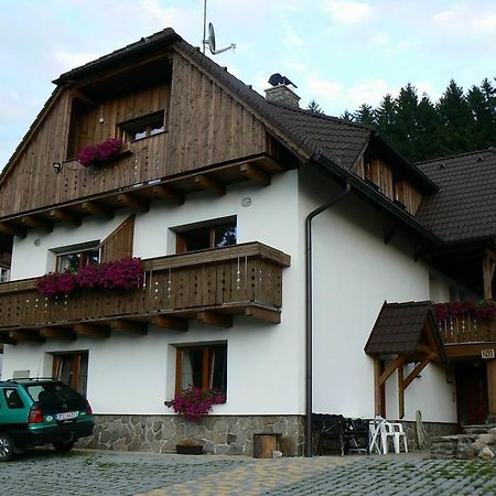 Apartmany U Vacu Železná Ruda Dış mekan fotoğraf