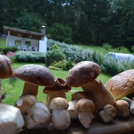 Apartmany U Vacu Železná Ruda Dış mekan fotoğraf